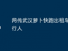 网传武汉萝卜快跑出租车撞到行人