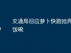 交通局回应萝卜快跑抢网约车饭碗