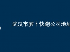 武汉市萝卜快跑公司地址