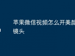 苹果微信视频怎么开美颜相机镜头