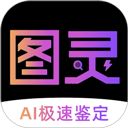 图灵鉴定app官网下载安装_图灵鉴定app最新手机版下载