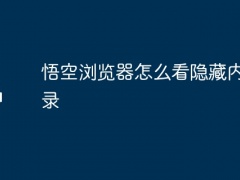 悟空浏览器怎么看隐藏内容记录