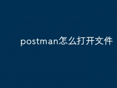 postman怎么打开文件