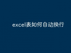 excel表如何自动换行