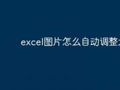 excel图片怎么自动调整大小