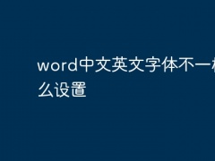 word中文英文字体不一样怎么设置