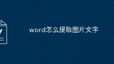 word怎么提取图片文字