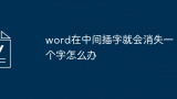 word在中间插字就会消失一个字怎么办