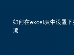 如何在excel表中设置下拉选项