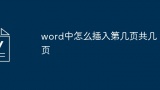 word中怎么插入第几页共几页