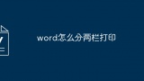 word怎么分两栏打印