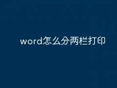 word怎么分两栏打印