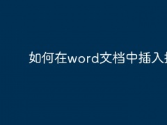 如何在word文档中插入批注