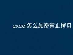 excel怎么加密禁止拷贝