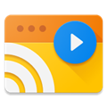 webvideocaster官方版下载_Web Video Caster app下载 v5.11.8最新版