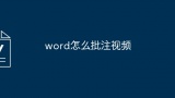 word怎么批注视频