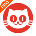 猫眼专业版app