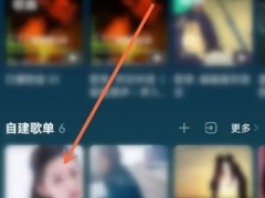 QQ音乐歌单制定歌曲怎么操作[多图]