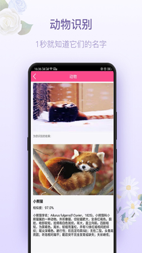 拍照识花神器手机版下载_拍照识花神器app下载 v5.6.6安卓版 运行截图3