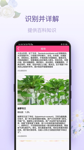 拍照识花神器手机版下载_拍照识花神器app下载 v5.6.6安卓版 运行截图2