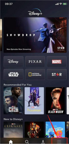 DisneyPlus2