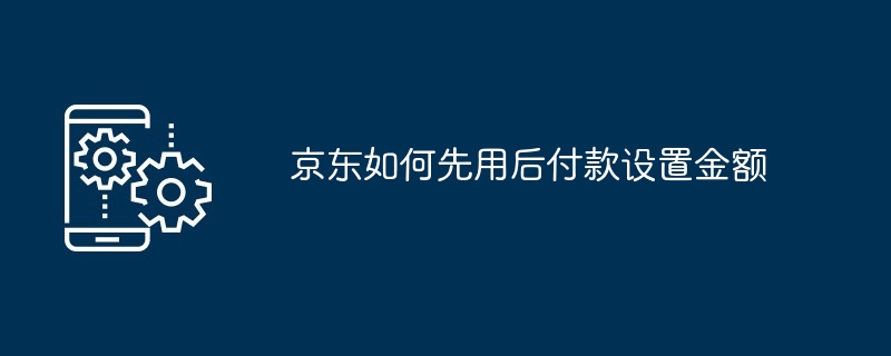 京东如何先用后付款设置金额[多图]