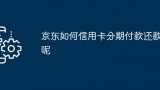 京东如何信用卡分期付款还款呢