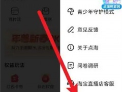 点淘关推送通知的方法步骤_点淘怎么关推送通知[多图]