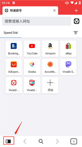 Vivaldi浏览器app7