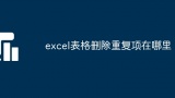 excel表格删除重复项在哪里