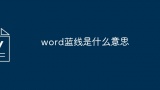 word蓝线是什么意思