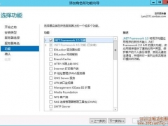 Lync Server最新安装部署图文教程