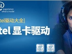 Win10显卡回退驱动程序让驱动降级步骤 回滚驱动程序变成灰色是什么原因