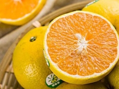 橙子是热性还是凉性的水果 看完让你秒懂橙子的功效作用营养价值及禁忌
