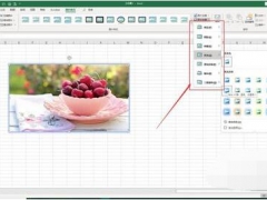 Excel2019如何给图片加框 Excel2019巧妙使用图片格式有意想不到的效果
