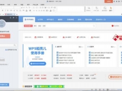 WPS如何制作个性化模板 WPS一键设置文档多页显示方法如此简单