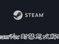 Steam被Vac封禁怎么办如何解封 steam一键快速加好友方法分享