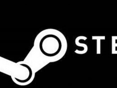 Steam平台游戏玩不了是怎么回事 Steam有两个相同游戏怎么办