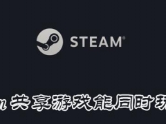 steam共享游戏能两人同时一起玩吗 steam游戏平台账户等级提升方法