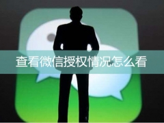 怎么查看微信授权的app 查看微信授权情况怎么看