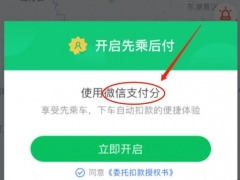 微信花呗支付分怎么用 新版微信花呗教程