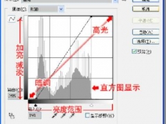 PS曲线调色里输入和输出代表什么意思 PS曲线调色教程步骤详解