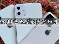 iphone11电池容量多少如何保养 苹果11手机电池保养延长使用寿命方法分享