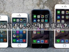iphone11手机忘记锁屏密码怎么办 苹果11手机长截屏滚动截屏方法分享