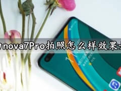 华为nova7Pro拍照怎么样效果如何 华为nova7Pro拍照实测分析绝对不让你失望