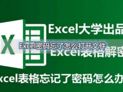 Excel密码忘了怎么打开文件 Excel忘记密码的解决方法