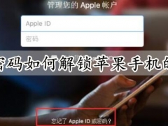 忘记密码如何解锁苹果手机的id锁 苹果手机ID锁解锁方法分享
