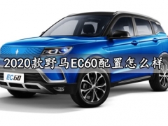 2020款野马EC60配置怎么样 2020款野马EC60值得买吗