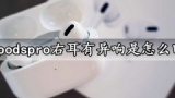 airpodspro右耳有异响是怎么回事 Airpods Pro右耳异响破音解决方法