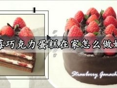 草莓巧克力蛋糕在家怎么做好吃 简单又好吃的草莓巧克力蛋糕做法分享
